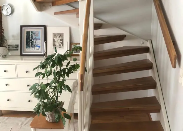 Paritalo 컬커뉴미